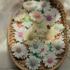 DAISY CANDLES