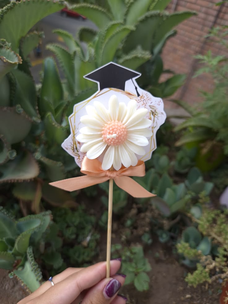DAISY CANDLES